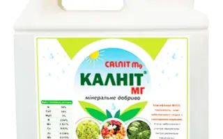 КАЛНІТ МГ
