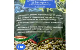 Еверріс (Енго)