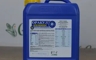 ОРАКУЛ (ГЛАС)