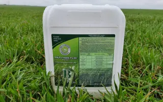 НАНОАКТИВАТОР