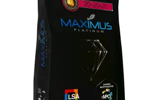 МАКСIМУС 20+20+20