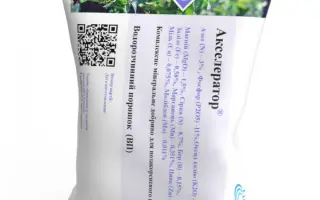 Акселератор