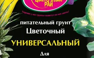 Грунт поживний