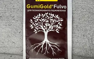 GumiGold