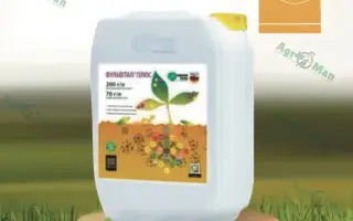 Фульвітал плюс