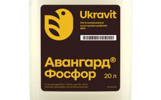 Фосфоритное мука Єгорєвського родовища фосфоритів