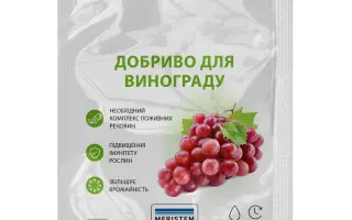 МЕРІСТЕМ ЛІКВІД