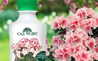 БИОГУМУС МАРКИ «САД ЧУДЕС»