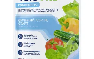 Яра Віта Моно