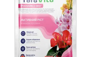 Яра Віта Спеціальне