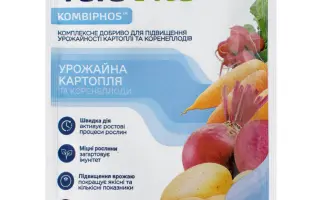 Яра Віта Урожайне