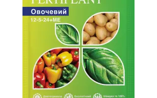 ФИЗИОСТАРТ