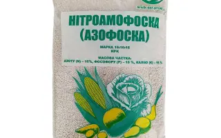 Азотно-фосфорно-калійне гранульоване добриво NPK – плюс