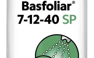 Басфоліар Борон СП