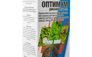 ОПТІМУС ПЛЮС