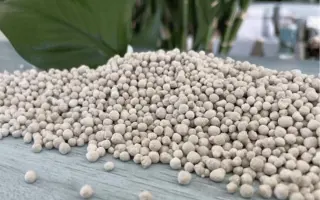 ЕСТА КИЗЕРИТ