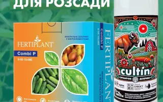 Фертіплант (FERTIPLANT)