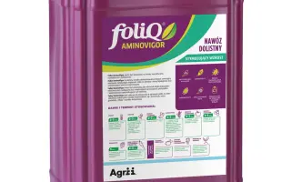 Фолік Аміновігор