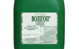 Волігоп (Voligop)