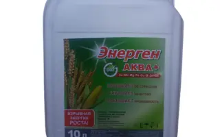 Енерген Клінсторм