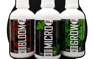 Маджестик Ліквід