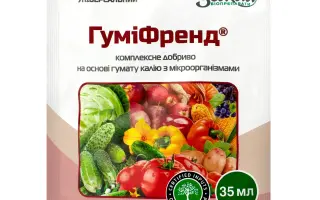 Гумекс