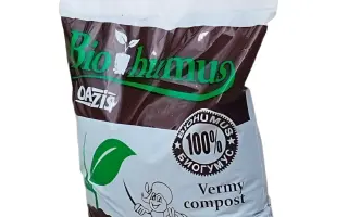 Оазис-Супер