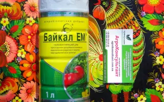 Мікробіологічне добриво «Байкал ЭМ»