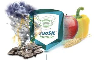 ОПТИСІЛ, р., (SiO2– 16,5%, Fe – 2,0%)