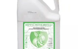 Нертус Фотосинтез