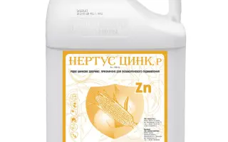 Нертус Цинк