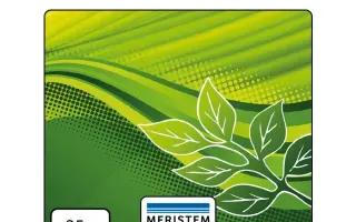 МЕРІСТЕМ ЛІКВІД (MERISTEM LIQUID)