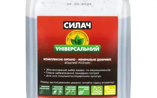 Силач Універсал