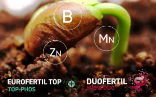 ЄВРОФЕРТІЛN-Процес