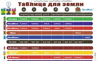 СеріаСтарт