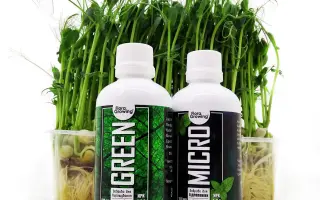 МІКРОГУМІН