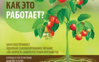 Инцентия (Incentia)