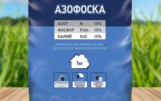 Азофоска марки 2-1-1