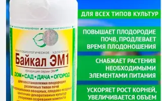 Байкал ЕМ -1 У