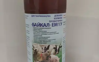 Байкал ЕМ-1 У