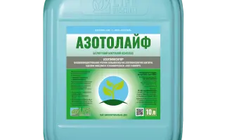 БАКТЕРІАЛЬНЕ ДОБРИВО «АЗОЛЕК»