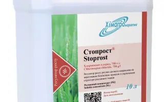 СмартФрешSM