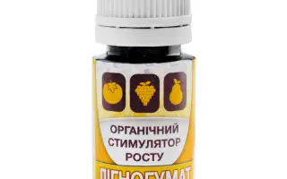 ЛІГНОГУМАТ