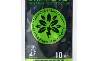 Вимпел Максі