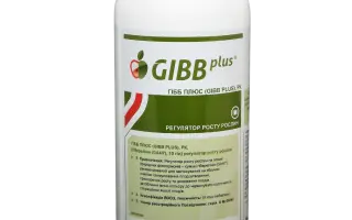 ГІББ ПЛЮС