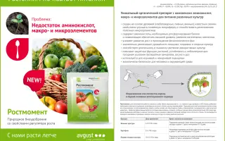 РОСТМОМЕНТ