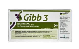 Гібб 3