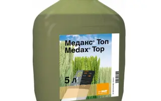 Пошак Мастер