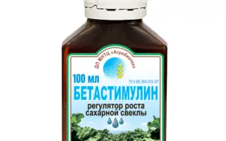 БЕТАСТИМУЛИН