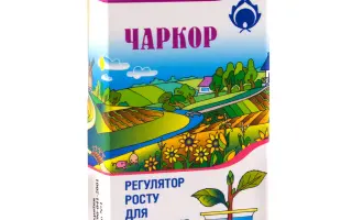 Чаркор